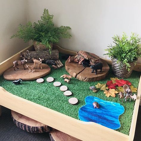 It was a forest small world kinda day today! 🐻 🌟 Lilly helped me rotate some of our play room this afternoon so we decided to set up a new small world! We had a look through our Schleich collection and settled on a forest for this week! 🦊 🌟 Our small world table is just a @kmartaus train table with a piece of artificial turf from @bunnings added to the top. 🌟 Our animals are all Schleich brand from @minizooshop and our large wooden cookie and piece of timber was foraged from @... Train Table Hack, Schleich Collection, Diy Forest, Preschool Classroom Setup, Maluchy Montessori, Train Table, Tuff Tray, Sensory Table, Diy Bricolage