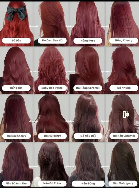 Kasey Aesthetic, Pinkish Red Hair, Hair Color Swatches, Plum Hair, Korean Hair Color, Ash Hair, Red Hair Inspo, Ash Hair Color, Hair Inspiration Long