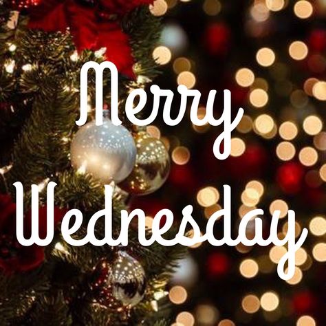 Christmas Wednesday, Wednesday Blessings, Holiday Morning, Wednesday Quotes, Days And Months, Morning Greetings, Morning Greeting, Christmas Joy, Daily Quotes