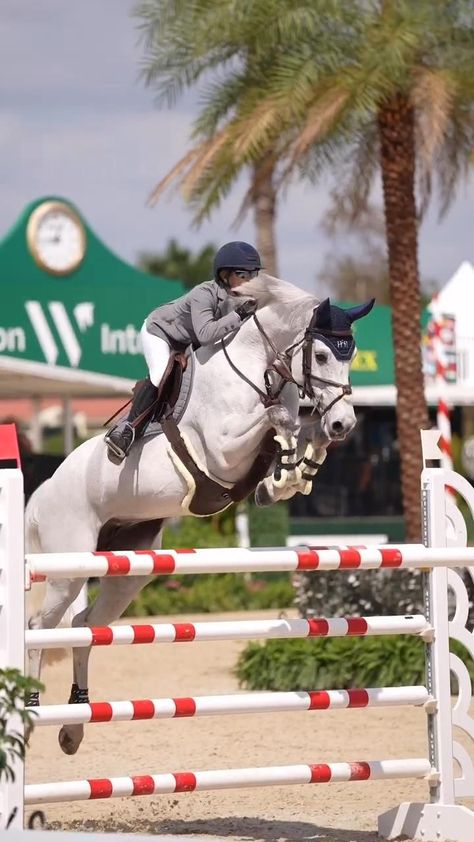 Horse Racing Videos, Horses Jumping Videos, Beautiful Horses Wild, Horse Riding Videos, Funny Horse Pictures, Foto Cowgirl, Horse Competition, Show Jumping Horses, Palomino Horse