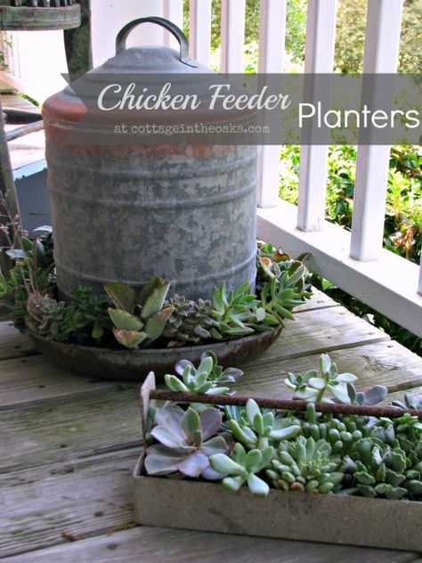 Creative Planters & Outdoor Decor - Page 3 of 7 - Sand and Sisal Plant Obsession, Chicken Feeders, Chicken Feeder, Garden Containers, Outside Ideas, Rustic Gardens, Container Gardens, Deco Floral, Yard And Garden