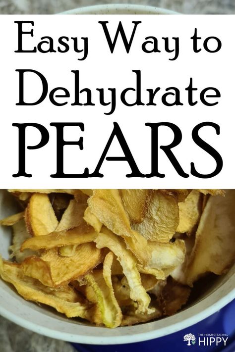 Pears are so delicious, it would be a shame not to preserve some for winter. They make great snacks when dehydrated, while still retaining much of their nutritional value. #pears #dehydration Dehydrate Pears, Dehydrating Food Storage, Great Snacks, Dehydrated Apples, Dehydrating Food, Dehydrated Foods, Dehydrated Vegetables, Dehydrated Fruit, Pear Recipes