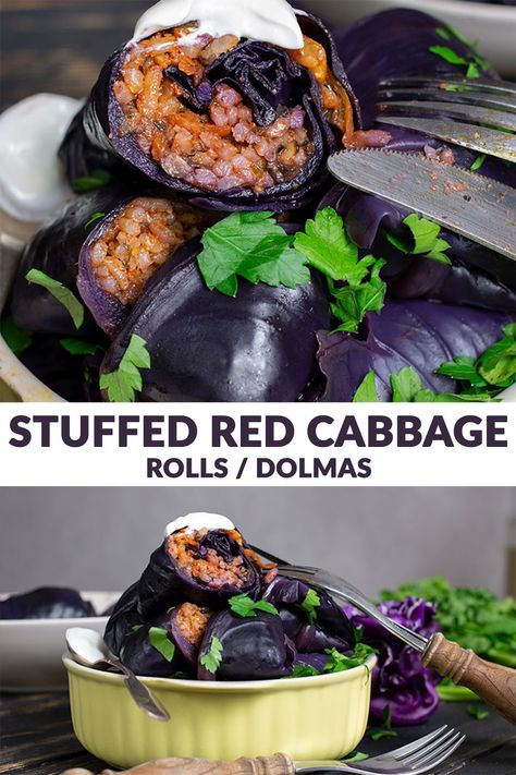 In case you never heard of stuffed cabbage rolls before, get ready for a REAL treat, especially for the holidays! 🙂 Stuffed Red Cabbage, Red Cabbage Rolls, Vegan Red Cabbage, Vegan Cabbage Rolls, Red Cabbage Recipes, Stuffed Cabbage Rolls, Easter Recipe, Stuffed Cabbage, Impressive Recipes