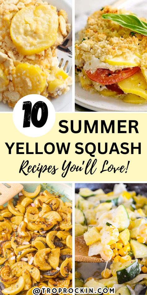 10 Mouthwatering Yellow Squash Recipes You Need to Try This Summer How To Cook Yellow Squash, Fried Yellow Squash, Summer Squash Bread, Cooking Yellow Squash, Southern Squash Casserole, Squash Bread, Air Fryer Recipes Appetizers, Summer Squash Recipes, Yellow Squash Recipes