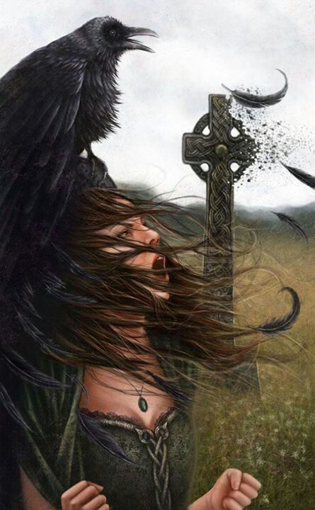 The Morrigen Nicholas Flamel, Celtic Myth, Irish Mythology, Celtic Gods, Celtic Goddess, A Crow, Witch Craft, Celtic Mythology, Crows Ravens