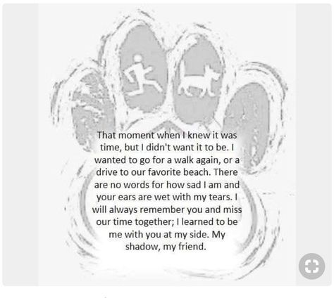 Childhood Dog Passing, Losing A Pet Quotes, Dog Heaven Quotes, Miss My Dog, Dog Poems, Dog Quotes Love, Dog Heaven, Helpful Things, Basic Needs