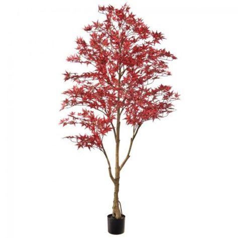 Red Potted Japanese Maple Tree Faux Plants And Trees - Bed Bath & Beyond - 41094165 Artificial Indoor Trees, Tree Faux, Tree Bed, Indoor Tree, Japanese Maple Tree, Silk Plants, Artificial Trees, Plastic Container, Japanese Maple