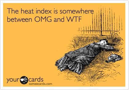 Funny Cry for Help Ecard: The heat index is somewhere between OMG and WTF. Hot Weather Humor, What I Like About You, Heat Index, Outlander Jamie, Clipuri Video, Outlander Series, Down South, E Card, Ecards Funny