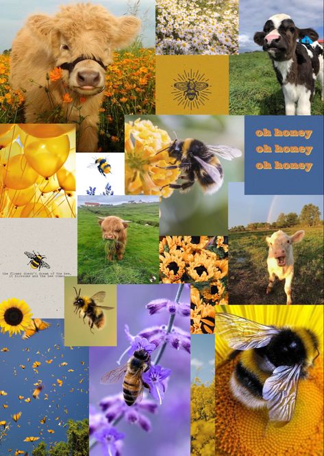 Cute aesthetic moodboard with lots of bees, baby cows and flowers like the summer or the spring    Honey you need this!! Cow Moodboard, Bee Moodboard, Cows And Flowers, Pretty Moodboards, Ipad Wallpapers, Photo Collages, Aesthetic Moodboard, Spring Photos, Aesthetic Inspiration