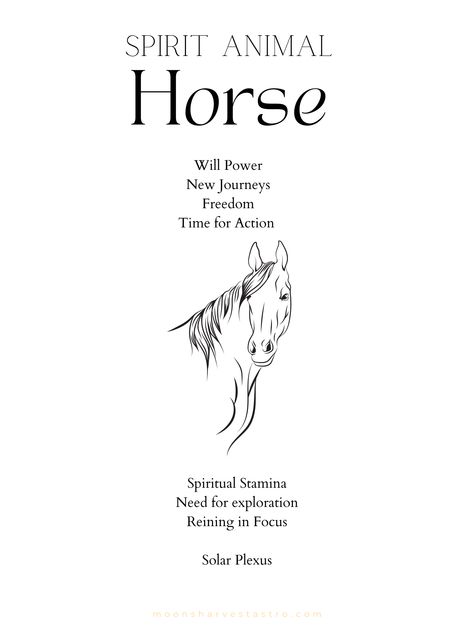 Horse Symbolism, Horse Spirit Animal, Animals Numbers, Horse Spirit, Series Ideas, Painting Series, Spirit Animals, Wild Horse, Like Animals