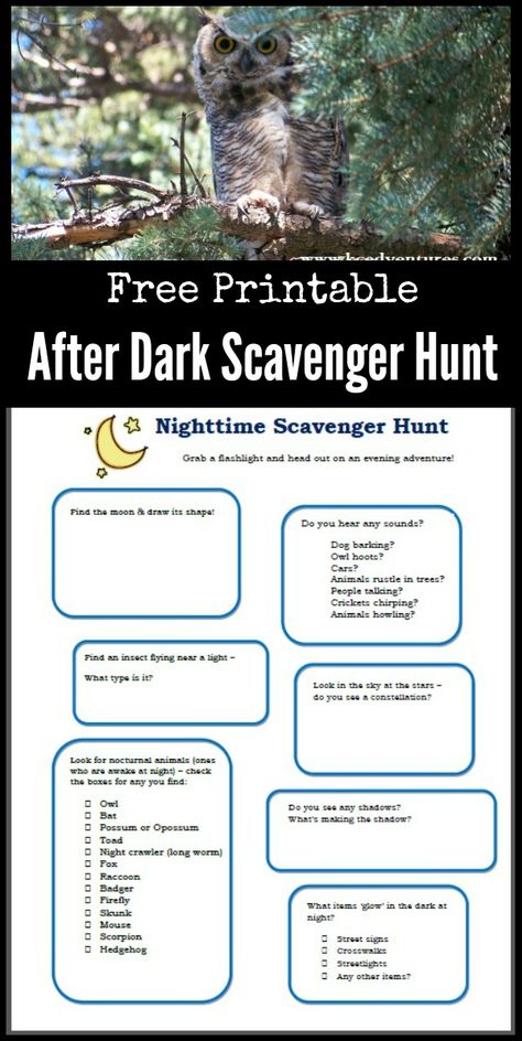 Grab a flashlight & see what happens in the dark with this FREE printable Nighttime scavenger hunt for kids, tweens & teens!  Fun idea for learning about nocturnal animals too.  Great idea for a summer night or birthday party game for kids too! Night Scavenger Hunt Outdoor, Flashlight Scavenger Hunt, Backyard Carnival, Scavenger Hunt List, Diy Party Crafts, Birthday Party Game, Birthday Party Games For Kids, Treasure Hunts, Scavenger Hunt For Kids