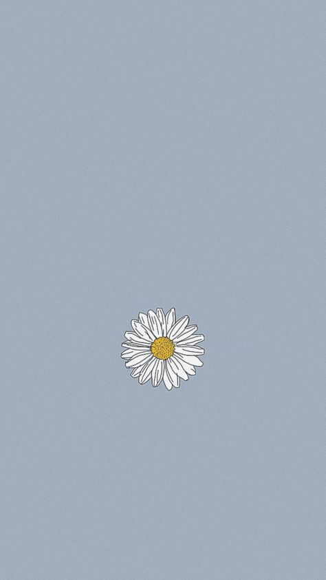 𝚊𝚎𝚜𝚝𝚑𝚎𝚝𝚒𝚌 wallpaper by crystal Blue Daisy Wallpaper Iphone, Aesthetic Basic Wallpaper, Daisy Wallpaper Aesthetic, Daisy Phone Wallpaper, Minimal Wallpapers, Blue Flowers Background, Basic Aesthetic, Profile Wallpaper, Alien Aesthetic