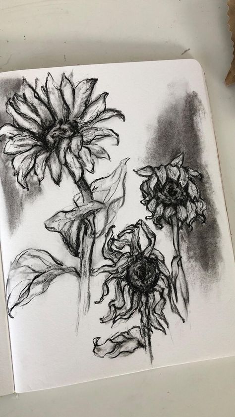 Art Journal Challenge, Prompt List, Scratchboard Art, Sketchbook Drawings, Art Drawings Sketches Pencil, Charcoal Art, Sketchbook Art Journal, Doodle Art Designs, Art Drawings Sketches Creative