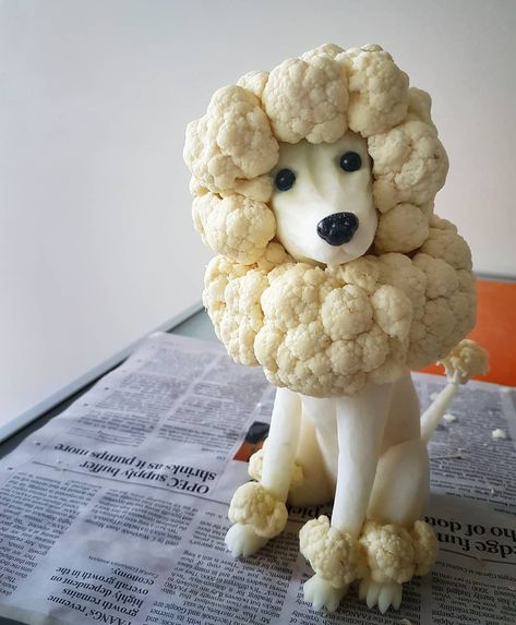 Cauliflower Poodle, Vegetable Animals, Vegetable Tray, Food Artwork, Amazing Food Art, Creative Food Art, Relish Trays, Easy Food Art, Food Garnishes