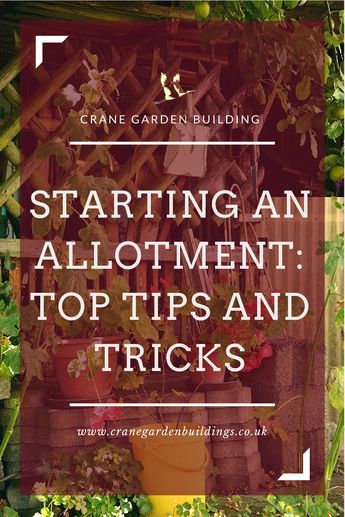 Allotment Ideas Budget, Allotment Ideas Inspiration, Allotment Planner, Allotment Plan, Veggie Garden Layout, Allotment Ideas, Veg Patch, Garden Tool Organization, Dig Gardens