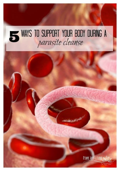 5 Ways to Support Your Body During a Parasite Cleanse - Pink Fortitude, LLC Zuma Parasite Cleanse, Anti Parasitic Recipes, Parasite Cleanse Food List, Removing Parasites Naturally, Binders For Parasite Cleanse, Cleanse Arteries, Parasite Cleanse Smoothie, Foods To Eat During Parasite Cleanse, Amish Parasite Cleanse