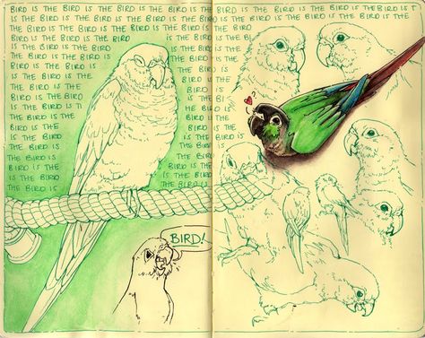 Mary Carter's sketchbook via The Frog Files Bird Sketchbook Pages, Outlined Drawings, Moleskine Inspiration, Bird Sketches, Ambient Background, Notebook Inspiration, Moleskine Sketchbook, Moleskine Art, A Level Art Sketchbook