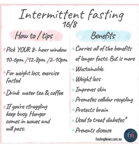 Intermediate Fasting, Intermittent Fasting Tips, Fasting Intermittent, Skin Drinks, Intermittent Fasting Diet, Body Fat Loss, Fat Burning Machine, Exercise Plan, Fasting Diet