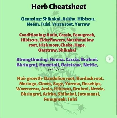 Cassia Hair Before And After, Herbalist Lifestyle, Cassia Hair, Yucca Root, Medical Herbs, Ayurvedic Healing, Ayurvedic Hair, Hair Growing Tips, Hair Care Regimen