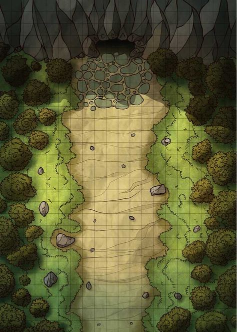 cave passage - Imgur Pathfinder Maps, Forest Map, Fantasy City Map, Fantasy Map Making, Cave Entrance, Map Layout, Dnd World Map, Battle Map, Fantasy World Map