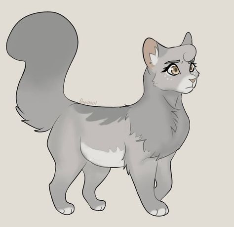 Dovewing Warrior Cats, Complex Art, Warrior Cats Fan Art, Warrior Cat Drawings, Warrior Cat Oc, Animal Reference, Cat Oc, Warriors Cats, Warrior Cats Art