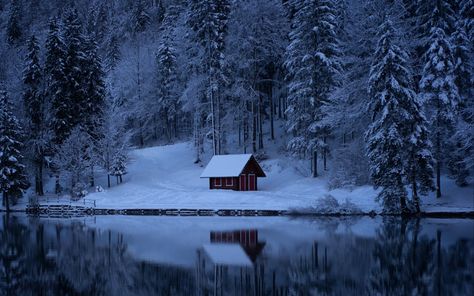 Download wallpaper 1920x1200 lake, forest, snow, winter, trees widescreen 16:10 hd background Winter Lake House, Desktop Background Images, House In Nature, Computer Backgrounds, Wallpaper Laptop, Dark Winter, Forest Wallpaper, Winter Wallpaper, Tree Wallpaper