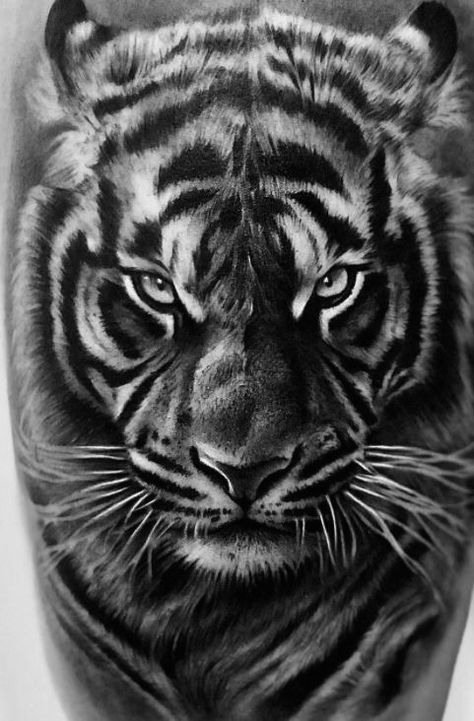 Tiger Face Tattoo, Blessed Tattoos, Black Panther Tattoo, Lion Art Tattoo, Tiger Tattoo Sleeve, Dragon Tattoo Ideas, Lion Tattoo Sleeves, Tiger Images, Black Tattoo Cover Up