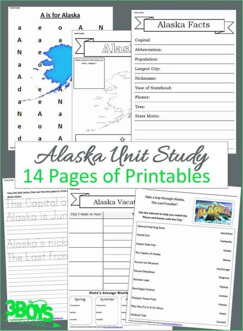 Alaska State Unit Study Alaska History, Artic Circle, Alaska Day, History Worksheets, Homeschool Worksheets, Best Children Books, Homeschooling Ideas, Unit Studies, Alaskan Cruise