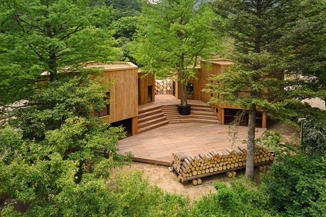 Classroom Architecture, Forest Classroom, Outdoor Learning Spaces, Learning And Growing, Forest Camp, Nature School, Children Learning, Children's Garden, Outdoor Classroom