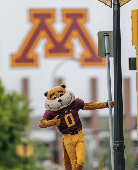 University Of Minnesota Graduation, U Of Minnesota, University Of Minnesota Twin Cities, University Of Minnesota Aesthetic, Minnesota Gophers Football, Minnesota Gophers, Row The Boat, Nantucket Home, City College