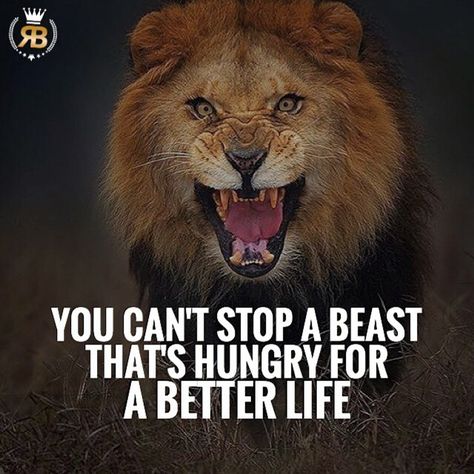 When you are hungry for change, you are willing to work harder than the rest. Be proud of your accomplishments, but never be satisfied. Stay hungry and stay on top! • Follow @Risebeyond.fam  Follow @Risebeyond.fam  • Like 5 Pictures Turn on post notifications so you don't miss our next post! Share with your friends Motivational Art Quotes, Animals Quotes, Deep Meaningful Quotes, Lion Quotes, Work Success, Work Motivational Quotes, Warrior Quotes, Motivational Art, Motivational Quotes For Success