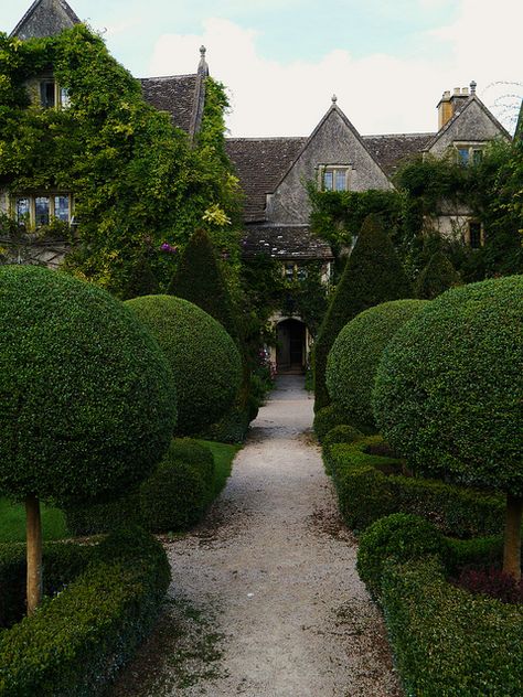 . English Garden Design, Topiary Garden, Longwood Gardens, Modern Garden Design, Formal Gardens, Gorgeous Gardens, English Garden, Garden Spaces, Shade Garden