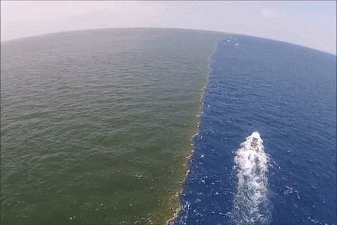 Gulf of Alaska, where two oceans meet but never mix. Two Oceans Meet, Gulf Of Alaska, Surface Water, Mississippi River, Skagen, Gulf Of Mexico, Pacific Ocean, Clear Water, Geology