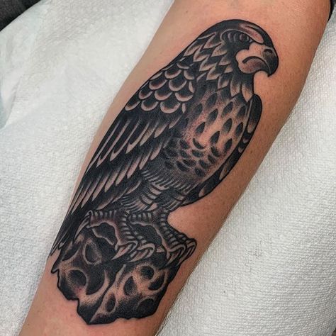 Maltese Falcon for @stillcw this afternoon @marionstreettattooandgallery Thank you sir and congrats to you and @karunadesigner on the… Falcon Tattoo, Maltese Falcon, S Tattoos, Maltese, Tattoo Inspo, Polynesian Tattoo, Tatting, Tattoos, Art