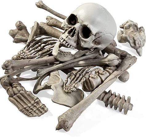 Amazon.com: THE TWIDDLERS Bag of Bones, 25 Pieces - Spooky Skull Skeleton Halloween Party Outdoor Decoration : Toys & Games Halloween Party Outdoor, Life Size Skeleton, Skeleton Parts, Bag Of Bones, Spooky Graveyard, Giant Skeleton, Halloween Skeleton Decorations, Prank Toys, Plastic Skeleton