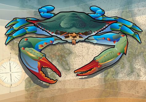 Maryland Products — Citizen Pride Blue Crabs Art, Maryland Blue Crab, Lithography Prints, Crab Art, Maryland Flag, Wall Flag, Blue Crab, Drift Wood, Coastal Blue