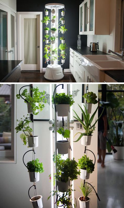 5 Vertical Vegetable Garden Ideas For Beginners / If you're short on space outside but still want to be able to grow some of your own veggies, an indoor vertical vegetable garden is what you need. This tower grows plants and vegetables without using soil and doesn't even require watering. Vertical Vegetable Garden Ideas, Garden Ideas For Beginners, Vegetable Garden Soil, Easy Herbs To Grow, Growing Food Indoors, Vertical Vegetable Gardens, Gardening Backyard, Vegetable Garden Ideas, Indoor Vegetables