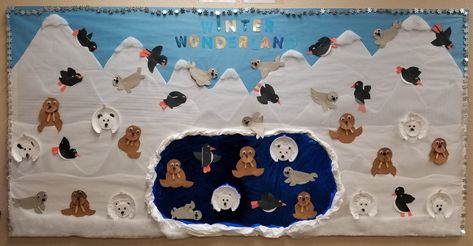 Arctic Animals Bulletin Board, Arctic Bulletin Board Ideas, Winter Wonderland Bulletin Board, Bear Hibernation, Preschool Winter, Winter Bulletin Boards, Preschool Bulletin, Preschool Bulletin Boards, Winter Classroom