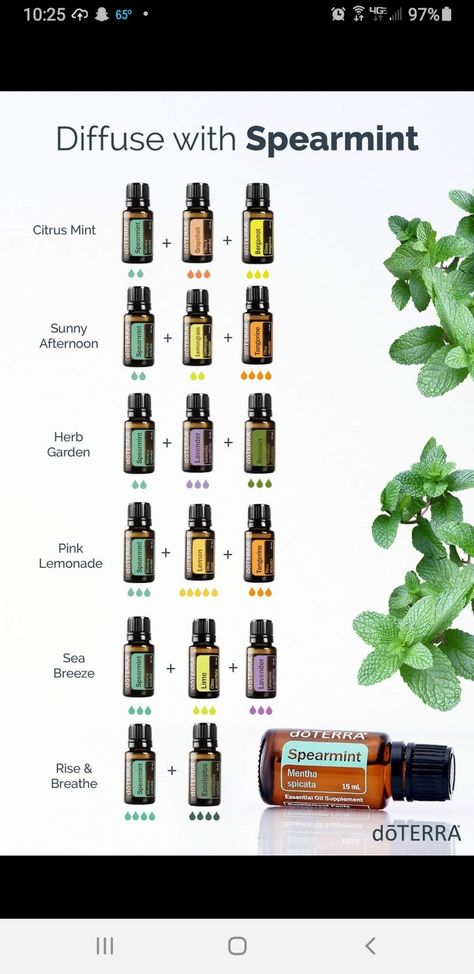 Doterra Lavender, Mint Essential Oil, Essential Oil Diffuser Blends Recipes, Lemon Eucalyptus, Essential Oils Cleaning, Essential Oil Diffuser Recipes, Oil Diffuser Recipes, Diffuser Recipes, Essential Oil Diffuser Blends