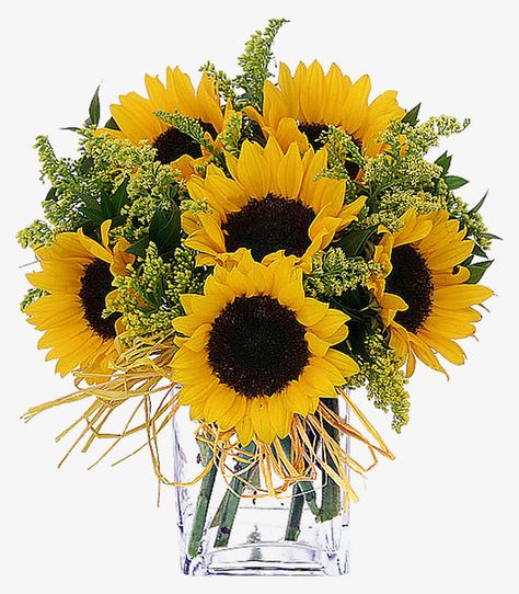 Yellow Sunflowers, Sunflower, Vase, Yellow, Flowers