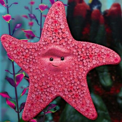 Finding Nemo Starfish Finding Nemo, Starfish, Pink