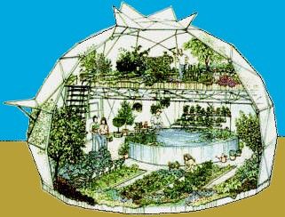 Geodesic greenhouse Yes please! Underground Greenhouse, Geodesic Dome Greenhouse, Casa Hobbit, Dome Greenhouse, Entertainment Area, Aquaponics System, Dome House, Garden Greenhouse, Geodesic Dome