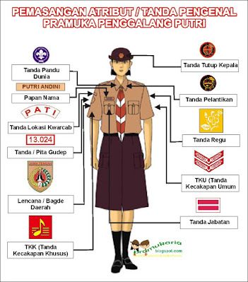 School Study Ideas, Girl Scouts, Indonesia, Google Search