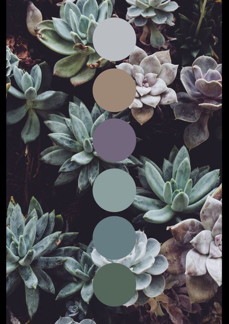 Succulent colour Palette. Green, purple, blue, brown, pastels #color #colourful #colourinspiration #colorful #colorpallete #digitalart #design #designideas #designinspo #green #purple #blue #brown #greenaesthetics #naturevibes #naturalcolours Blue Green Purple Interior Design, Succulent Color Palette Wedding, Wedding Color Schemes Lavender And Green, Lavender Green Gold Color Palette, Colours That Go Well With Purple, Sage Green Purple Bedroom, Blue Green Purple Bedroom, Purple Green Brown Wedding, Color Palette With Purple And Green