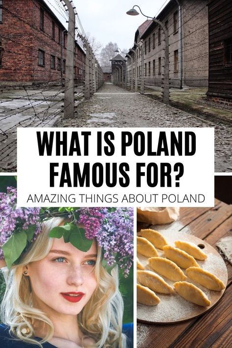 Wonder what is Poland famous for? Check out this ultimate list of the greatest Poles, best Polish inventions, food, and more! Polish Christmas Traditions, Poland Facts, Poland Vacation, Polish Dishes, Polish Vodka, Poland Food, Poland Culture, Europe Trips, Poland Country