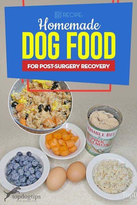 The Best Homemade Dog Food for Post Surgery Recovery Recipe. #homemadedogfood #petfood #dogfood #cooking #recipes #dogfoodrecipe Home Cooked Dog Food, Healthy Dog Food, Cook Dog Food, Diy Dog Food, Make Dog Food, Dessert Simple, Food Dog, Raw Dog Food Recipes, Dog Nutrition