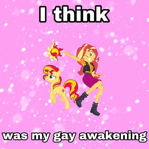 Sunset Shimmer X Twilight Sparkle, Gay Quotes, Vinyl Scratch, Princess Twilight Sparkle, Rainbow Rocks, Sunset Shimmer, Mlp Pony, Mlp My Little Pony, Lovey Dovey