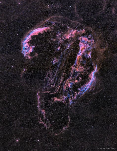 Veil Nebula, Supernova Explosion, Astronomy Pictures, Nasa Photos, Space Photos, Space Images, Light Pollution, Daily Pictures, Space Science