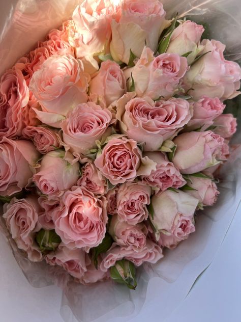 Pink, baby roses, roses, aesthetically pleasing, aesthetics, aesthetic Pale Pink Roses Aesthetic, Baby Pink Aesthetic Vintage, Juliet Rose Aesthetic, Pastel Pink Roses Aesthetic, Rose Pale Aesthetic, Baby Pink Asthetics, Pale Pink Aesthetic, Pink Roses Aesthetic, Ashy Pink