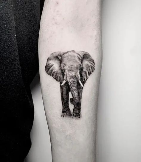 Realistic Elephant Tattoo, Tiny Elephant Tattoo, Soft Tattoo, Tattoos For Men And Women, Body Tattoo Design, Lioness Tattoo, Elephant Tattoo Design, Elephant Face, Elephant Pictures